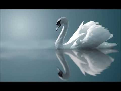 Гурт LOVESONG Перелаз мій перелаз