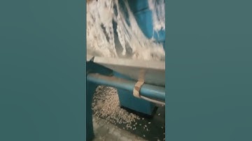 cotton Ginning machine #machine #ginning #cottonindustry #shortsvideo