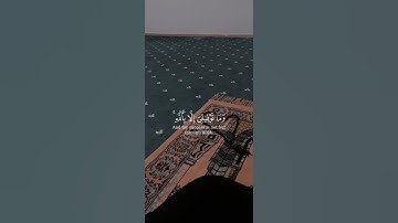 سورة هود {الآية 88} بصوت الشيخ مشاري العفاسي 💖❤️