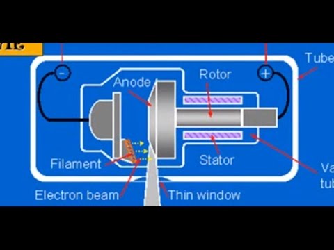 Physics of Radiation Oncology Lecture 2 - 2010