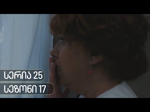 ჩცდ - სერია 25 (სეზონი 17)
