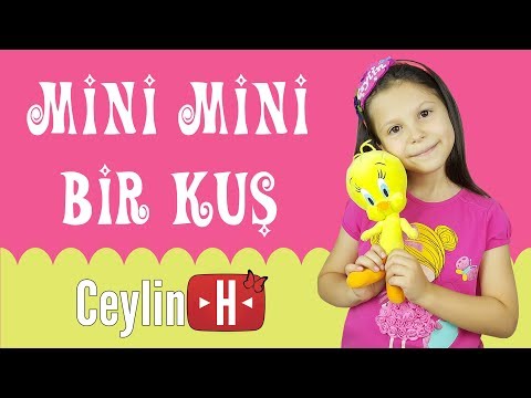 Ceylin-H - Mini Mini Bir Kuş Donmuştu Pencereme Konmuştu - Nursery Rhymes & Super Simple Kids Songs