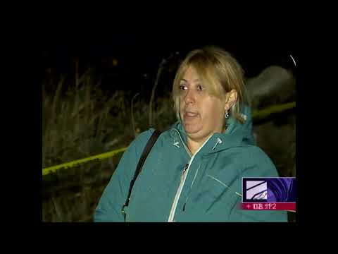 დიდ დიღომში დახოცილი ძაღლები იპოვეს