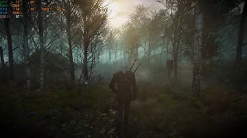The Witcher 3 | i7-9700K - GTX 1080 Ti | Max Settings/1440p Performance