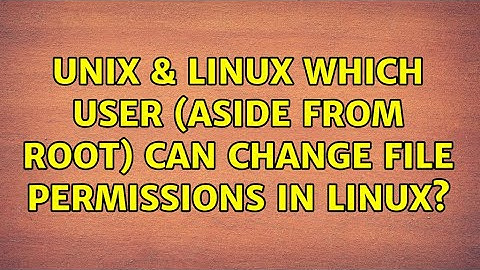 Unix & Linux: Which user (aside from root) can change file permissions in Linux?