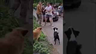 Capturan a personas en las calles de Ucrania para eliminarlas en la guerra Бусификация #могилизация