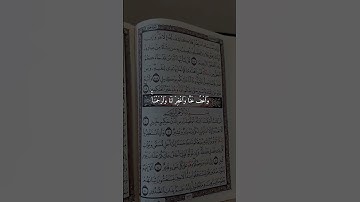 أذكار الصباح #reels #explore #shortvideo #quran #قرآن #اذكار_الصباح #قران_كريم #اسلاميات #اسلام