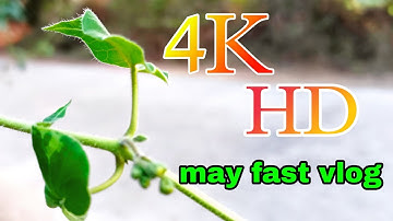 my first vlog #myfirstvlog #4k #myfirstblog #myfirstvlogviral #my_first_vlog #myfirstyoutube