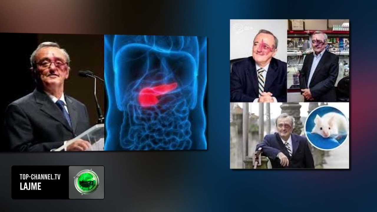 Top Channel/ Shpresë e re kundër kancerit: Tumori i pankreasit zhduket te minjtë me kombinim barnash