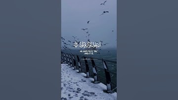 إِنَّما أَمْرُهُ إِذا أَرادَ شَيْئاً أَنْ يَقُولَ لَهُ كُنْ فَيَكُونُ | سورة يس