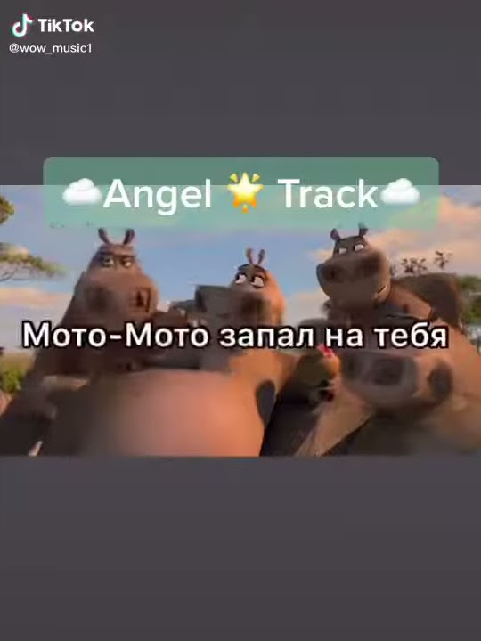 Мота Мота - YouTube
