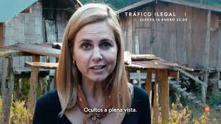 Tráfico Ilegal con Mariana Van Zeller | Estreno | National Geographic