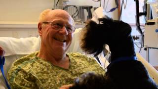 Therapy dog Muka visits Legacy Salmon Creek