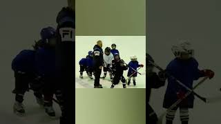 Хоккей, тренировка у 2016