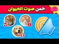 خمن الحيوان من خلال الصوت فقط تحدي تخمين أصوات الحيوانات