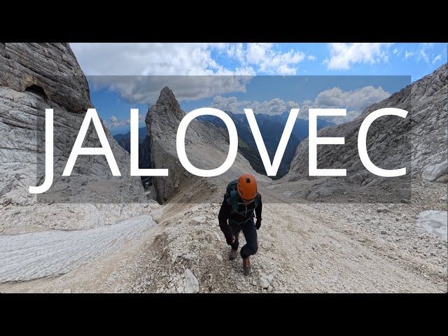 Nevaren, lep in nepozaben: KRALJ JALOVEC