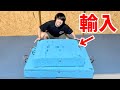 エジプトから輸入した爬虫類達を見てみると...