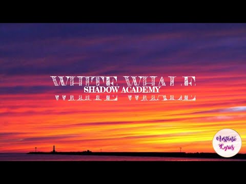 White Whale - Shadow Academy (Lyrics) 🎼