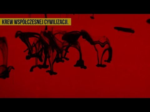 Wideo: Wszechmocny świata: 13 Rodzin, Które Rządzą światem - Alternatywny Widok