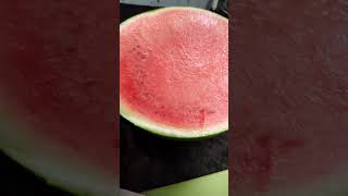 Manisnya Buah Semangka 8424  24052025 watermelon semangka watermelon8424  fruit 
