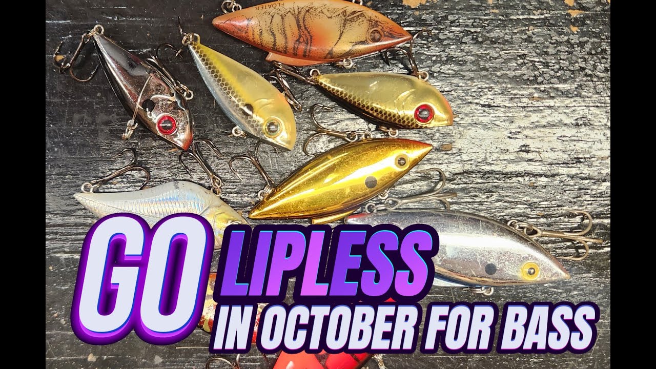 Go Lipless For Bass In October