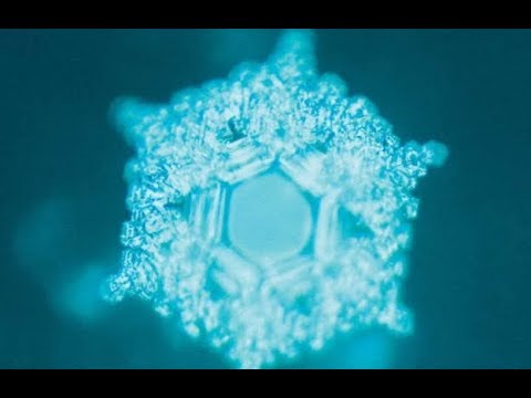 Video Lợi ích của Hydrogen - Chất chống oxy hoá mạnh mẽ... - YouTube