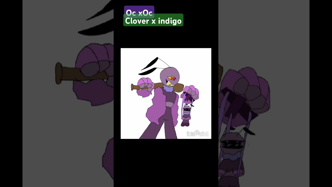 oc xoc indigo x clover my 