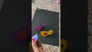 circle shape bird activity