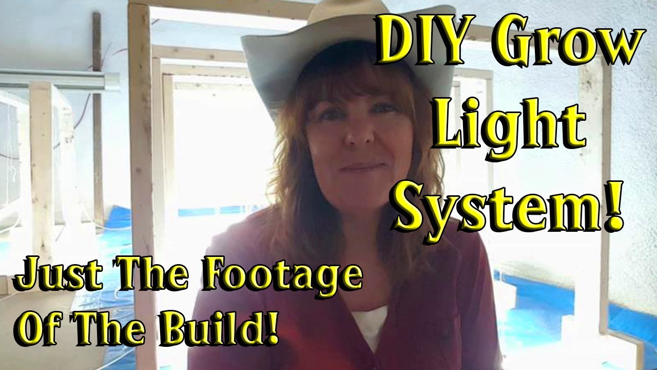 Footage Of The Build Only Frugal Grow Light System Basement Grow