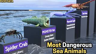 Most Dangerous Sea Animals In The World