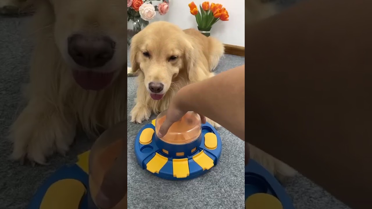 KADTC Puzzle toys! Best dog Toy in USA! N90796