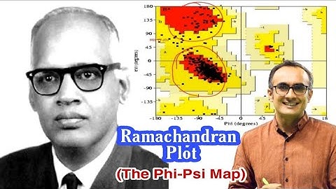 Ramachandran Plot | The Phi Psi Map | Dihedral Angles | Dr. Nagendra Singh | PENS#57