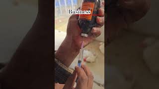 Vacciness-Layer Birds Ko Vaccination Kaise Karte Hain