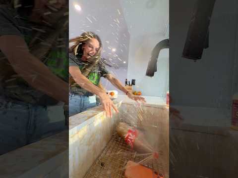 MOM vs SODIES part 2