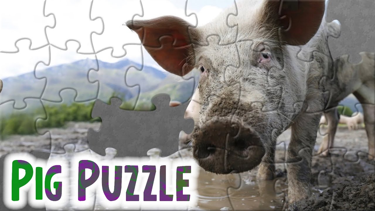 Pig Puzzle - Schweine rätsel - Schwein - 豚 | WAP Puzzle
