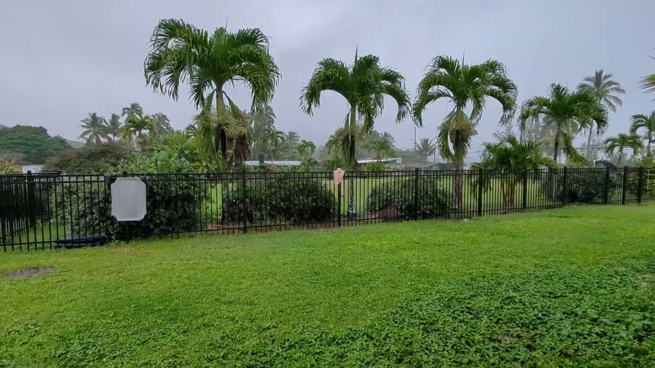 Tour of The House: My First WWOOFing gig - remaking life at 66