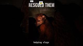 रोते हुए पपी की Rescue Story 🐶💔 #shorts #petlover #vlog #minivlog