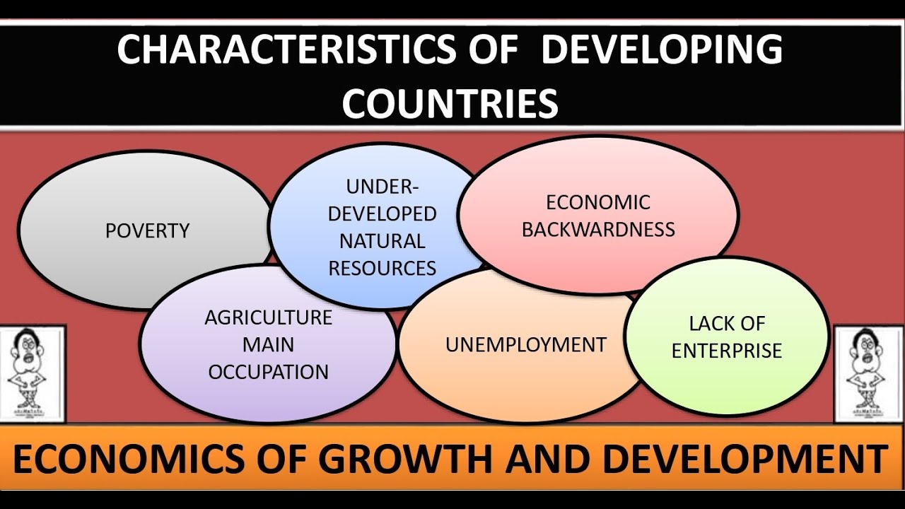 essay about characteristics of developing countries