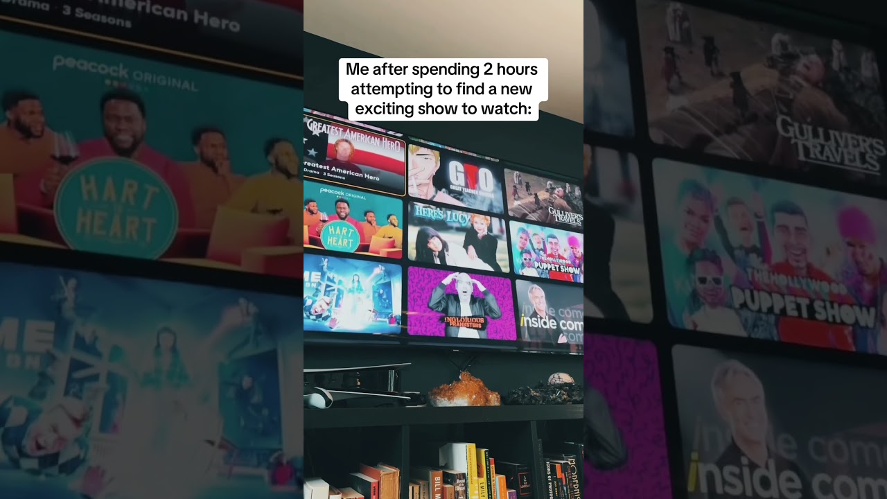 Me after spending 2 hours attempting to find a new exciting show to watch 