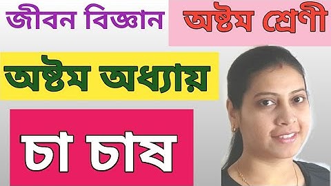 চা চাষ|WBBSE|Life science|Class 8|chapter 8|tea cultivation|camellia sinensis |