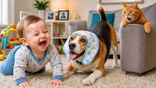 Dog Catches Flying Frisbee in Living Room; Baby Claps & Laughs Giggles Funny Dog screenshot 3