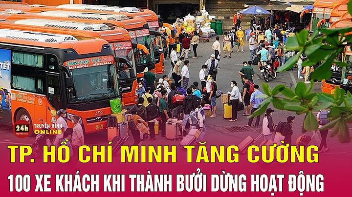 So sánh dịch vụ giữa phương trang và thành bưởi năm 2024