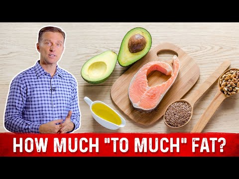 What is "Too Much" Fat on Keto (ketogenic diet)?