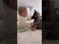 Funny baby and little dog  #cute, #happy, #laugh, #dog