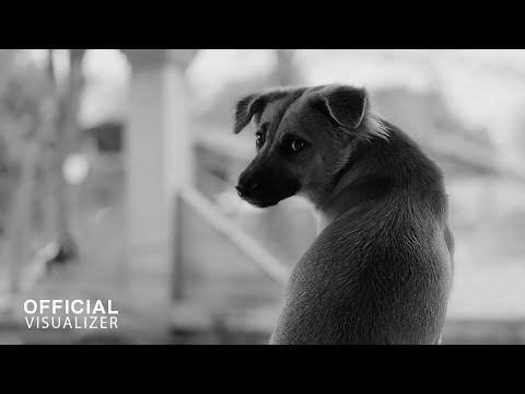Zamio P - Eternal (ນິລັນດອນ)(Official visualizer)