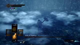 SL1 NG+6 No rolling/blocking/parrying Seath the Scaleless