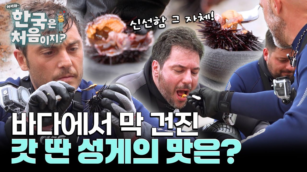 Michelin Chefs' First Harvest! What Does Fresh Sea Urchin Taste Like?