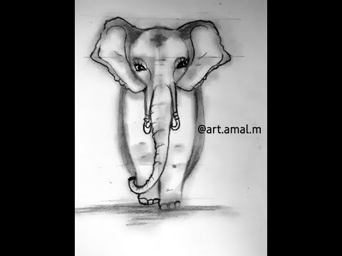 رسم بالرصاص رسم فيل بالرصاص للمبتدئين - YouTube