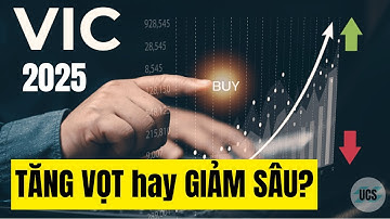 Cổ Phiếu VIC 2025 Tiềm Năng Tăng Trưởng và Thách Thức Của Vingroup
