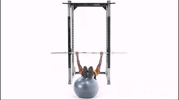 Inverted Row with Feet on Swiss Ball Exercise